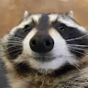 Meet your Posher, Jesse